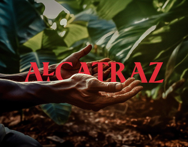 XIV Международный фестиваль танца отметит 85-летие основателя марийской хореографии