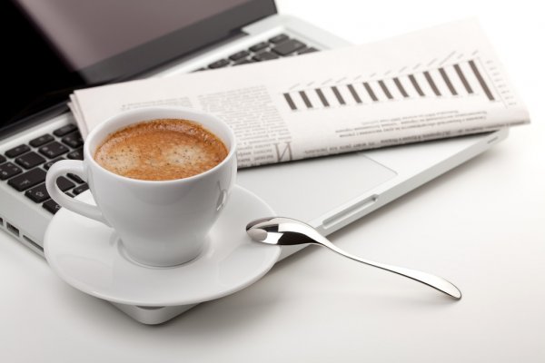 Более 500 спортсменов приняли участие в легкоатлетических соревнованиях Гатчинская дорожка
